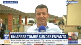 Tarn-et-Garonne : 2 enfants gravement blessés après la chute d'un arbre dans une école