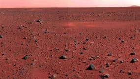 Le responsable des programmes d'exploration du système solaire au Centre national d'études spatiales (Cnes) estime qu'une mission habitée sur Mars coûterait quelque 200 milliards de dollars (165 milliards d'euros) et paraît peu probable avant 2040-2050. /
