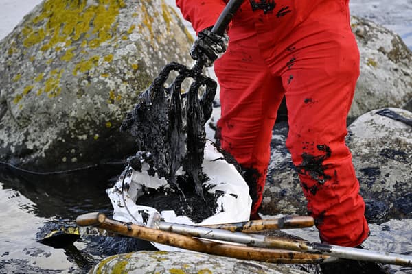 Des personnes nettoient le pétrole dans la réserve naturelle de Spraglehall à Krokas près de Horvik, en Suède, alors que les travaux de dégagement du ferry Marco Polo échoué et les opérations de nettoyage après la marée noire se poursuivent le 23 octobre 2023. Les garde-côtes suédois ont déclaré le 23 octobre 2023 qu'ils travaillaient au nettoyage d'une importante marée noire en mer Baltique après l'échouage d'un ferry transportant des passagers au cours du week-end.