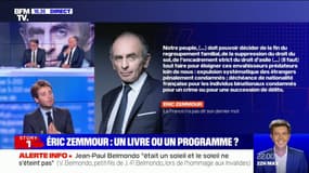 Le nouveau livre d'Éric Zemmour est-il un programme ?