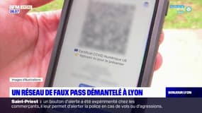 Lyon: un réseau de faux pass sanitaires démantelé