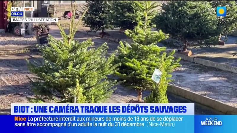 Biot: une caméra traque les dépôts sauvages de sapins