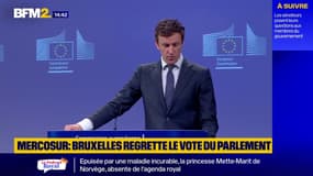 Mercosur: la Commission européenne "regrette" la saisine de la justice européenne