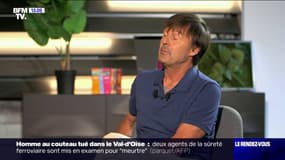 Nicolas Hulot sur la lutte contre le réchauffement climatique: "On a échoué, maintenant la priorité va être l'adaptation"