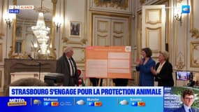 Strasbourg: la ville s'engage pour la protection animale
