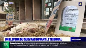 Morsures de Patou dans le Queyras: deux mois de prison avec sursis requis contre un éleveur