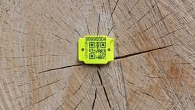 La solution Apinfor assure la traçabilité du bois