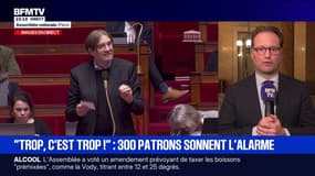 Budget: "Être une entreprise française, dans une concurrence internationale, c'est partir avec un boulet au pied", déplore Sylvain Maillard, député (Renaissance)