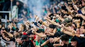 Des supporters de Saint-Etienne