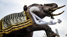 Un éléphant lors d'une parade/image d'illustration