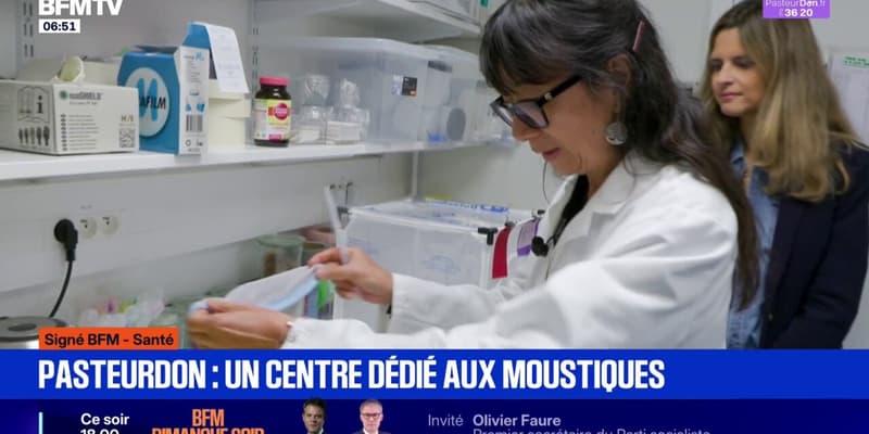 Pasteurdon: un centre dédié aux moustiques