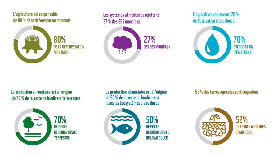 Les conséquences de la production alimentaire en 2021 dans le monde. Les conséquences de la production alimentaire en 2021 dans le monde.