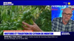 Côte d'Azur Découvertes du jeudi 14 décembre - Histoire et tradition du citron de Menton