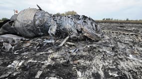 Les débris du vol MH17, abattu jeudi avec 295 personnes à son bord, alors qu'il survolait l'Ukraine.