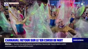 Carnaval de Nice: retour sur le 1er corso de nuit