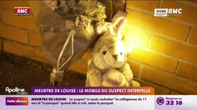 Meurtre de Louise: le mobile du suspect interpelle les habitants d'Épinay-sur-Orge