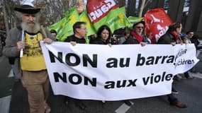 Manifestation contre le barrage de Sivens le 22 novembre 2014 à Toulouse