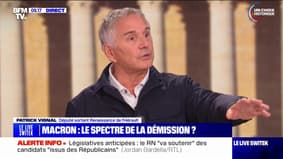Législatives: "Ils n'ont aucun intérêt, le Rassemblement national, qu'Emmanuel Macron démissionne", réagit Patrick Vignal