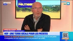 Émission spéciale "championnats du monde de la frite"
