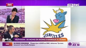 Télévision : De moins en moins d'animaux à l'écran