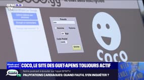 Prostitution, guet-apens, contenu pédopornographique... Pourquoi le site Coco est toujours actif 