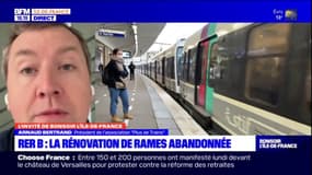 RER B: comment améliorer les conditions de transports sur la ligne?
