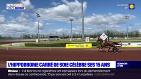 L'hippodrome Carré de Soie célèbre ses 15 ans en accueillant le Grand national du trot