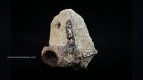 Un fossile de 168 millions d'années a été découvert sur la plage par une touriste en Normandie.