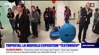 Lille: le Tripostal accueille l'exposition "Textimoov!"