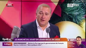 Le marché du jouet en léger recul : "Une baisse de la natalité et une tension sur le pouvoir d'achat", décrypte Franck Mathais, porte-parole de Jouéclub