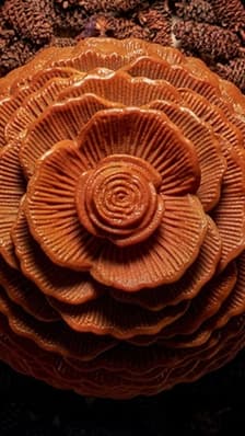 "Joyau des pins" : la bûche de Noël du Peninsula Paris