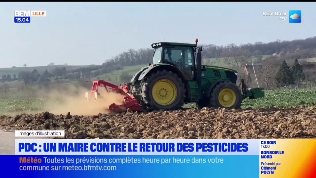 Pas-de-Calais: un maire contre le retour des pesticides