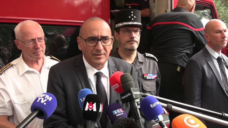 Laurent Nuñez affirme que l'incendie de la forêt de Fontainebleau "pourrait" être d'origine "volontaire"