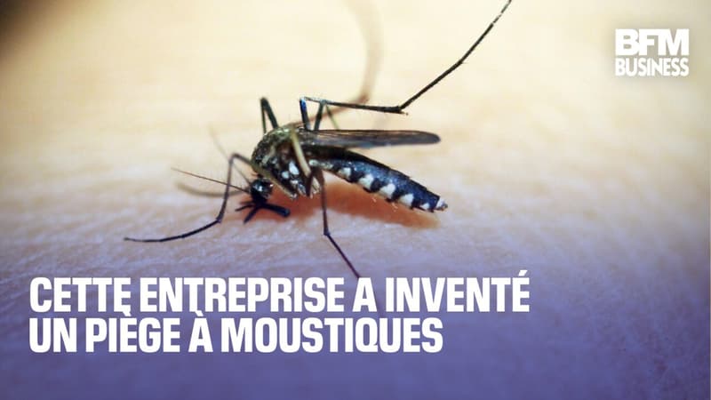 Cette entreprise a inventé un piège à moustiques