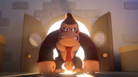 Mario vs Donkey Kong
