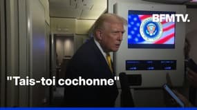 Donald Trump insulte une journaliste après une question sur l'affaire Epstein 