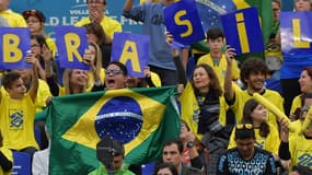 Des supporters du Brésil