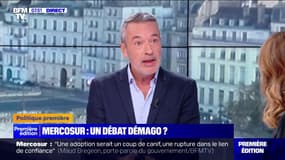 ÉDITO - Mercosur à l'Assemblée: "Ce débat ne va servir à rien d'autre qu'à être un exutoire"