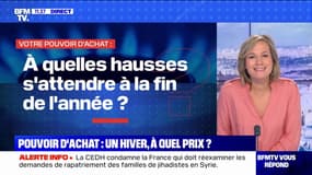 Pouvoir d'achat: à quelles hausses s'attendre à la fin de l'année ? BFMTV répond à vos questions