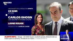 Quand Carlos Ghosn se faisait embaucher aux Pays-Bas comme salarié d'une filiale de Nissan et Mitsubishi