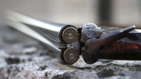Fusil en Corse, le 16 août 2020. (illustration)