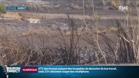 "On essaie de voir tout objet ou tout individu suspect", les agriculteurs restent vigilants après les incendies criminels dans le Gard