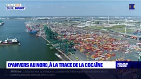 Port d'Anvers: la porte d'entrée de la cocaïne revendue dans la métropole lilloise