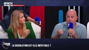FORUM BFMTV - "On ne va pas à l'Assemblée nationale pour gueuler": échange entre Céline Hervieu, députée PS et David, chef d'entreprise