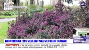 Hauts-de-Seine: des habitants de Montrouge se mobilisent pour sauver leur square