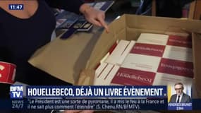 "Sérotonine": pourquoi le nouveau roman de Houellebecq promet d'être un succès