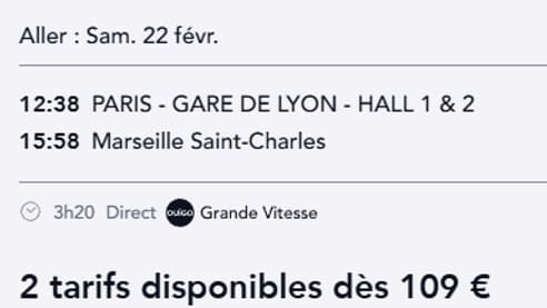 Certains billets de train OUIGO ont dépassé les 100 euros (capture d'écran du site Sncf Connect le 23 janvier 2025).