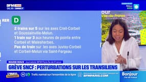 Île-de-France: des perturbations sur les lignes de Transilien et RER en raison d'un mouvement de grève