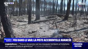 Incendie dans le Var: la piste accidentelle avancée