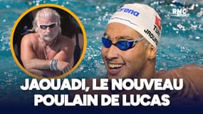Mondiaux de natation : "Jaouadi est un travailleur", Philippe Lucas salue son sacre au 800m nage libre